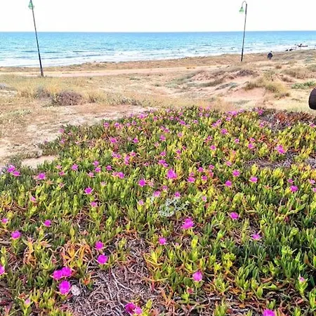 Plaza La Mata, Z Widokiem Na Basen, 2 Lozka Apartamento