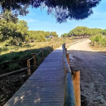 Plaza La Mata, Z Widokiem Na Basen, 2 Lozka 公寓 拉马他